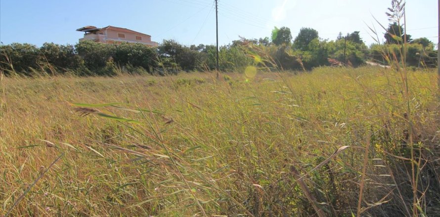 3000m² Land in Corfu, Greece No. 58511