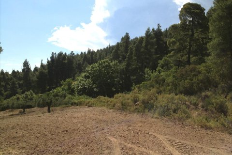 12100m² Land en Chalkidiki, Greece No. 60570 4