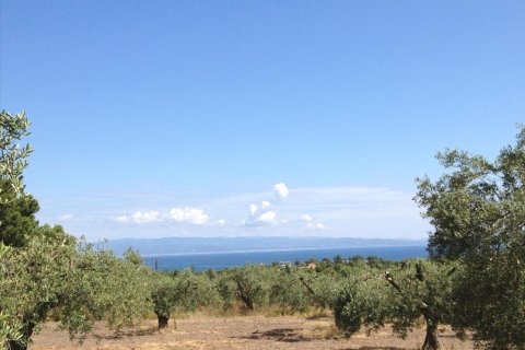 12100m² Land en Chalkidiki, Greece No. 60570 1