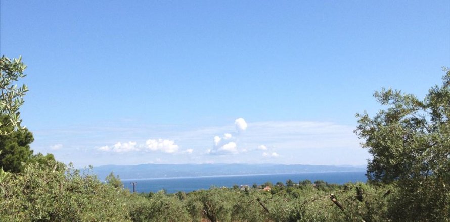 12100m² Land in Chalkidiki, Greece No. 60570