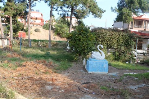 1037m² Land in Chalkidiki, Greece No. 60569 4