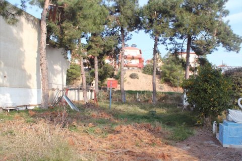 1037m² Land en Chalkidiki, Greece No. 60569 5