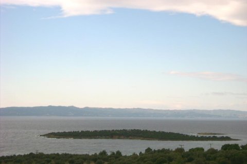 16728m² Land in Chalkidiki, Greece No. 60568 2