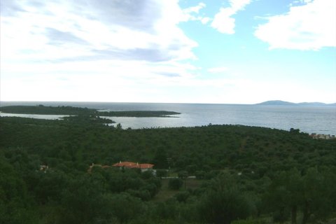 16728m² Land in Chalkidiki, Greece No. 60568 1