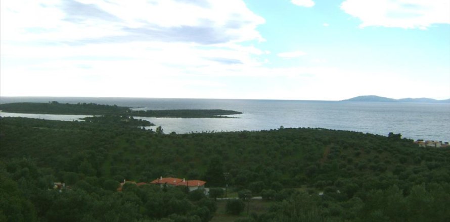 16728m² Land in Chalkidiki, Greece No. 60568