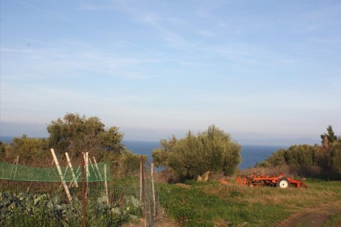 20000m² Land à Chalkidiki, Greece No. 60564 5