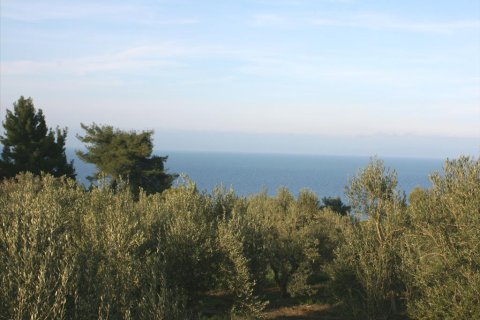 20000m² Land en Chalkidiki, Greece No. 60564 1