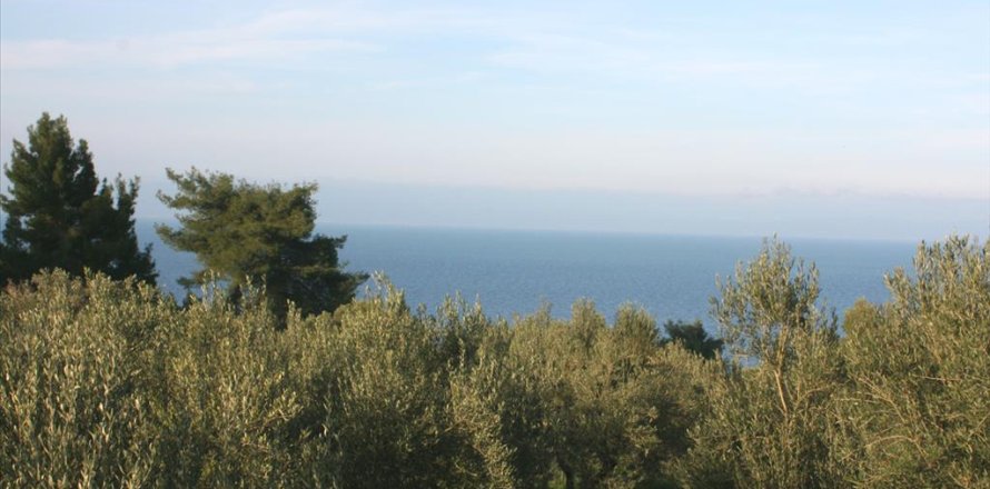 20000m² Land in Chalkidiki, Greece No. 60564