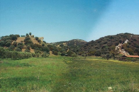 7850m² Land à Chalkidiki, Greece No. 60567 1