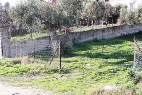 1496m² Land in Chalkidiki, Greece No. 60566 2