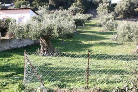 1496m² Land in Chalkidiki, Greece No. 60566 3