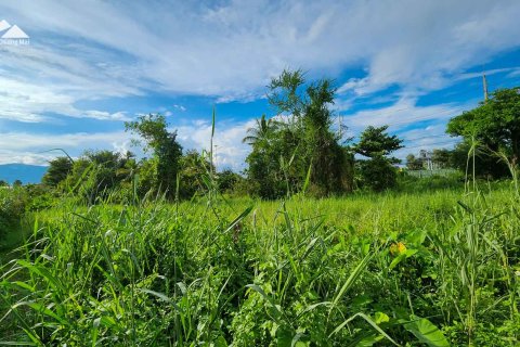 Land in Chiang Mai, Thailand No. 1428 11