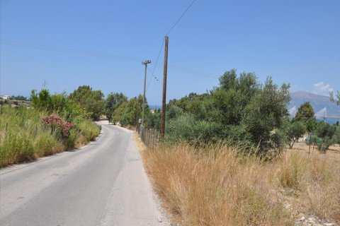 4160m² Land à Achaea, Greece No. 60635 6