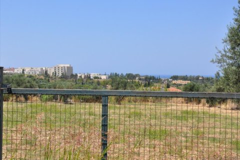 4160m² Land in Achaea, Greece No. 60635 2