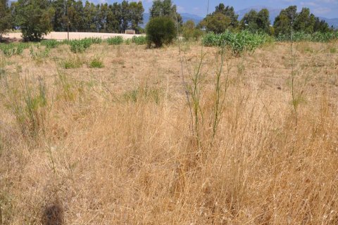 4160m² Land à Achaea, Greece No. 60635 5