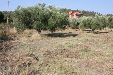 4077m² Land à Chalkidiki, Greece No. 60634 2