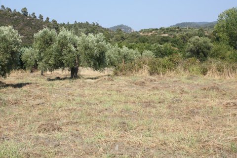 4077m² Land à Chalkidiki, Greece No. 60634 3