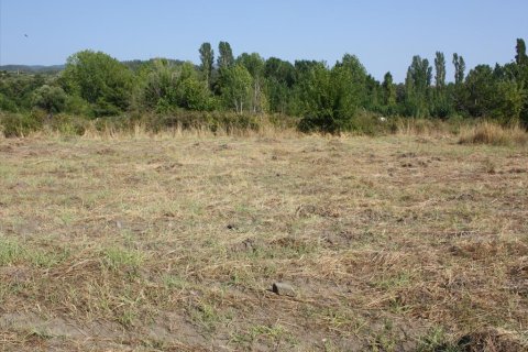 4077m² Land in Chalkidiki, Greece No. 60634 4