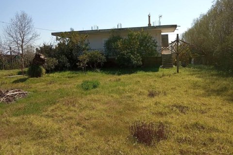 3 bedrooms Land in Zakynthos, Greece No. 28107 2