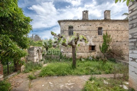 600m² House à Magnesia, Greece No. 27977 11