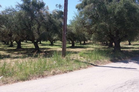 Land à Zakynthos, Greece No. 28082 4