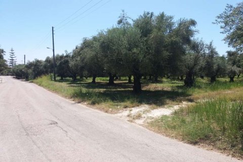 Land in Zakynthos, Greece No. 28082 12