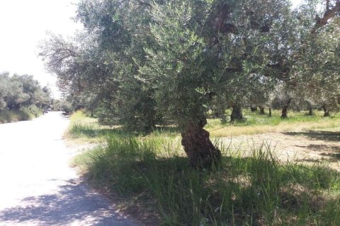 Land in Zakynthos, Greece No. 28082 14