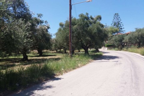 Land à Zakynthos, Greece No. 28082 1