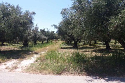 Land in Zakynthos, Greece No. 28082 3