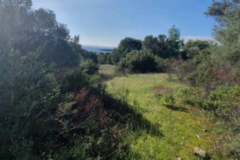 23000m² Land en Chalkidiki, Greece No. 54494 10