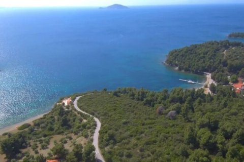 23000m² Land en Chalkidiki, Greece No. 54494 2