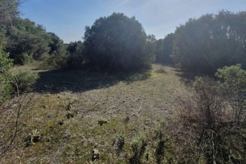 23000m² Land en Chalkidiki, Greece No. 54494 11