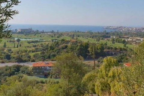 23000m² Land en Chalkidiki, Greece No. 54494 7