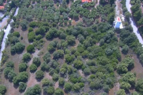 23000m² Land en Chalkidiki, Greece No. 54494 8