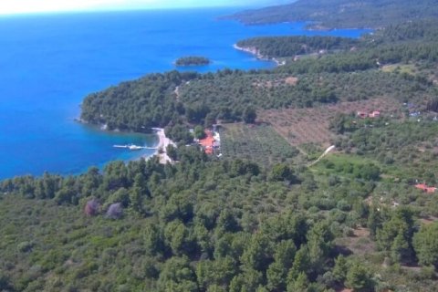 23000m² Land en Chalkidiki, Greece No. 54494 4