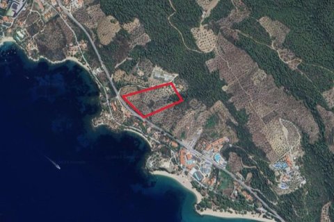 10576m² Land à Chalkidiki, Greece No. 54495 2