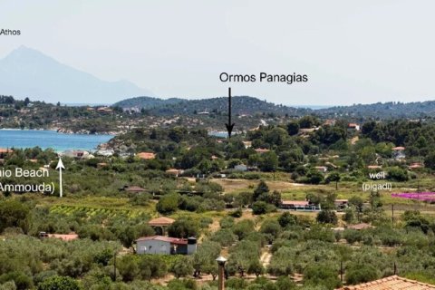 10000m² Land in Chalkidiki, Greece No. 54479 4