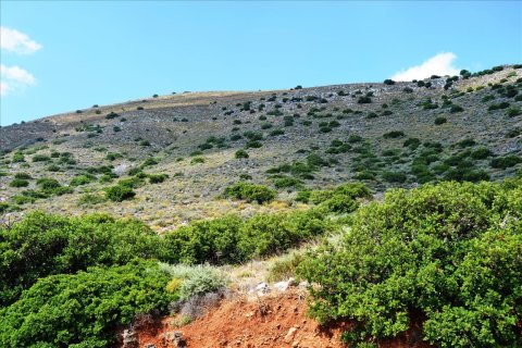 4860m² Land in Lasithi, Greece No. 58701 2