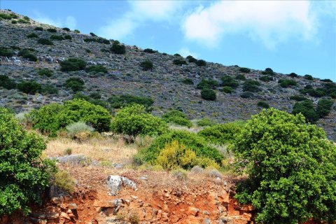 4860m² Land à Lasithi, Greece No. 58701 4