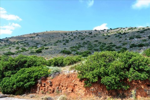 4860m² Land en Lasithi, Greece No. 58701 6