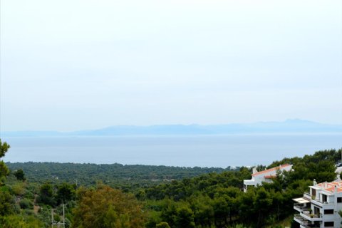 8 bedrooms Villa in Marathon, Greece No. 58696 2