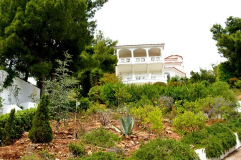 8 chambres Villa à Marathon, Greece No. 58696 3