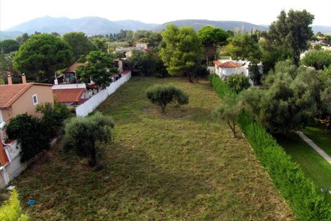 1409m² Land in Marathon, Greece No. 58697 6