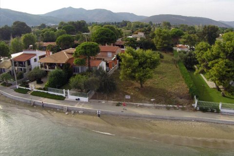 1409m² Land in Marathon, Greece No. 58697 2