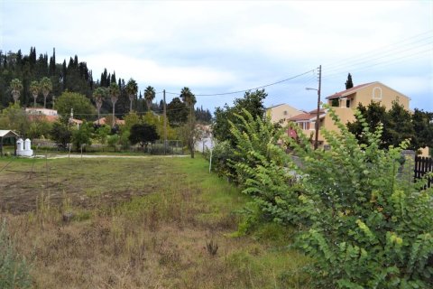 14000m² Land in Corfu, Greece No. 58438 9