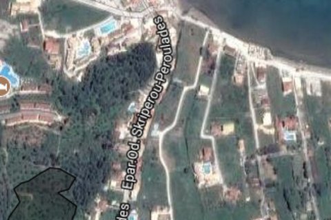 14000m² Land in Corfu, Greece No. 58438 15