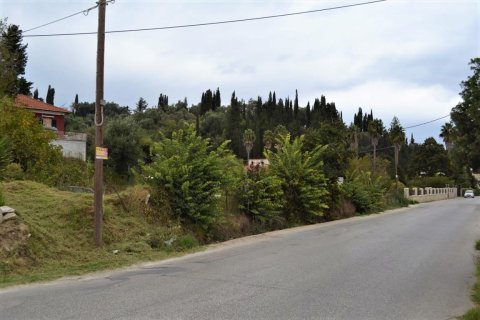 14000m² Land en Corfu, Greece No. 58438 13