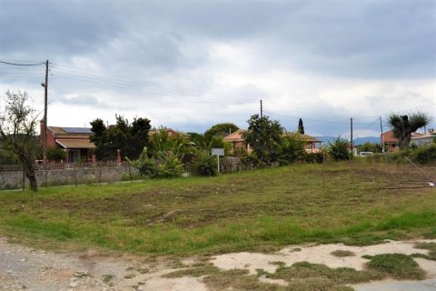 14000m² Land in Corfu, Greece No. 58438 5