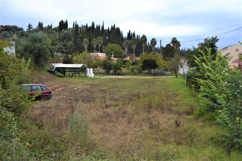 14000m² Land in Corfu, Greece No. 58438 10