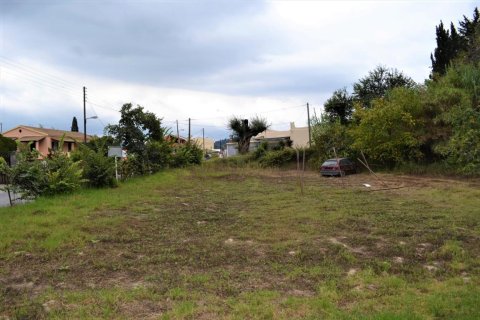 14000m² Land en Corfu, Greece No. 58438 8